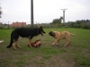 Filename=006.JPG
Filesize=345KiB
Dimensions=1600x1200
Date added=%830 %01, %2007 006.JPG