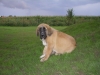 Filename=050.JPG
Filesize=406KiB
Dimensions=1600x1200
Date added=%825 %01, %2007 050.JPG