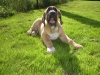 Filename=068.JPG
Filesize=430KiB
Dimensions=1600x1200
Date added=%857 %01, %2007 068.JPG