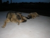 Filename=080.JPG
Filesize=321KiB
Dimensions=1600x1200
Date added=%849 %01, %2007 080.JPG