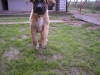 Filename=104.JPG
Filesize=415KiB
Dimensions=1600x1200
Date added=%846 %01, %2007 104.JPG