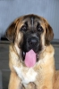 Filename=4.jpg
Filesize=23KiB
Dimensions=300x452
Date added=%529 %02, %2007 4.jpg