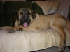 Filename=Picture_003.jpg
Filesize=360KiB
Dimensions=1600x1200
Date added=%527 %02, %2007 Picture_003.jpg
