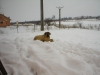 Filename=Picture_005.jpg
Filesize=374KiB
Dimensions=1600x1200
Date added=%526 %02, %2007 Picture_005.jpg