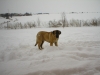 Filename=Picture_007.jpg
Filesize=373KiB
Dimensions=1600x1200
Date added=%526 %02, %2007 Picture_007.jpg