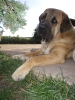 Filename=Picture_008.jpg
Filesize=386KiB
Dimensions=1200x1600
Date added=%525 %02, %2007 Picture_008.jpg