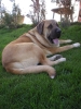 Filename=Picture_010.jpg
Filesize=405KiB
Dimensions=1200x1600
Date added=%524 %02, %2007 Picture_010.jpg