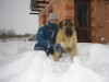 Filename=Picture_019.jpg
Filesize=360KiB
Dimensions=1600x1200
Date added=%524 %02, %2007 Picture_019.jpg