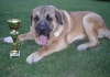 Filename=Zeo1.JPG
Filesize=67KiB
Dimensions=611x431
Date added=%523 %02, %2007 Zeo1.JPG