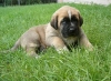 Filename=zeus27days%2C%2C.jpg
Filesize=80KiB
Dimensions=579x425
Date added=%013 %15, %2006 zeus27days%2C%2C.jpg