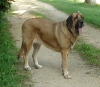 Filename=is71305.jpg
Filesize=72KiB
Dimensions=297x260
Date added=%482 %17, %2006 is71305.jpg