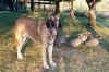 Filename=is92904.jpg
Filesize=174KiB
Dimensions=709x473
Date added=%441 %17, %2006 is92904.jpg