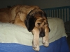 Filename=isbed521.jpg
Filesize=214KiB
Dimensions=640x480
Date added=%483 %17, %2006 isbed521.jpg