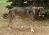 Filename=moses915.jpg
Filesize=97KiB
Dimensions=370x271
Date added=%484 %17, %2006 moses915.jpg