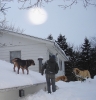 Filename=shovelingout020611.JPG
Filesize=322KiB
Dimensions=799x828
Date added=%289 %07, %2011 shovelingout020611.JPG