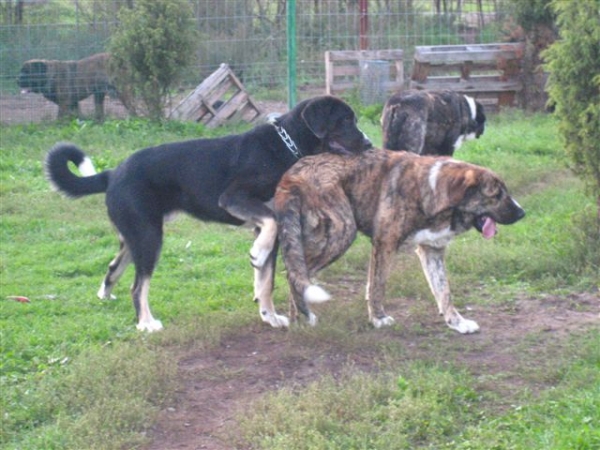 Naik play with his sister
