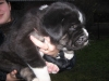 Filename=1-web.jpg
Filesize=38KiB
Dimensions=500x375
Date added=%497 %05, %2006 1-web.jpg