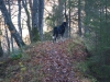 Filename=Picture_004.jpg
Filesize=92KiB
Dimensions=640x480
Date added=%674 %30, %2006 Picture_004.jpg