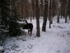 Filename=Picture_006.jpg
Filesize=74KiB
Dimensions=640x480
Date added=%479 %20, %2006 Picture_006.jpg