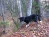 Filename=Picture_007.jpg
Filesize=111KiB
Dimensions=640x480
Date added=%674 %30, %2006 Picture_007.jpg