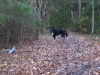 Filename=Picture_009.jpg
Filesize=83KiB
Dimensions=640x480
Date added=%673 %30, %2006 Picture_009.jpg