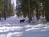 Filename=Picture_030.jpg
Filesize=485KiB
Dimensions=1600x1200
Date added=%413 %28, %2006 Picture_030.jpg
