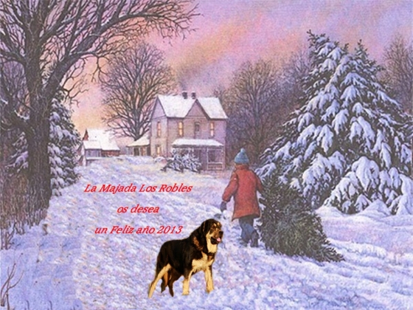 Felicitacion Navidad 'La Majada Los Robles'
Mastin español
Keywords: xmas