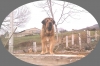 Filename=Cantero,_19_meses.jpg
Filesize=106KiB
Dimensions=1024x683
Date added=%652 %07, %2012 Cantero,_19_meses.jpg
