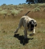 Filename=SAM_0865.JPG
Filesize=164KiB
Dimensions=768x827
Date added=%963 %15, %2012 SAM_0865.JPG