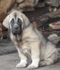 Filename=SAM_1322.JPG
Filesize=399KiB
Dimensions=768x884
Date added=%974 %18, %2013 SAM_1322.JPG