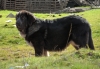 Filename=SAM_1382.JPG
Filesize=409KiB
Dimensions=1024x715
Date added=%959 %02, %2013 SAM_1382.JPG