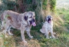Filename=rea-jas.jpg
Filesize=119KiB
Dimensions=1000x693
Date added=%701 %30, %2007 rea-jas.jpg