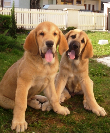 Julie Tornado Erben with her little brother
