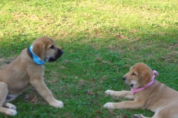 Julie with her big brother
