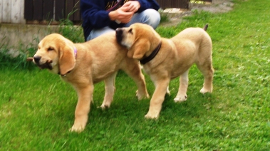 Jess and Julie walking
