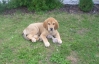 Filename=SD_017.jpg
Filesize=147KiB
Dimensions=494x318
Date added=%971 %06, %2006 SD_017.jpg