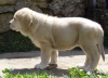 Filename=54dias_Bimba06048.jpg
Filesize=108KiB
Dimensions=800x582
Date added=%444 %10, %2007 54dias_Bimba06048.jpg