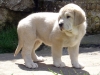 Filename=54dias_Bimba06051.jpg
Filesize=94KiB
Dimensions=800x604
Date added=%443 %10, %2007 54dias_Bimba06051.jpg