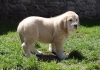 Filename=54dias_Bimba06096.jpg
Filesize=147KiB
Dimensions=800x567
Date added=%443 %10, %2007 54dias_Bimba06096.jpg