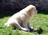 Filename=54dias_Bimba06099.jpg
Filesize=154KiB
Dimensions=800x583
Date added=%442 %10, %2007 54dias_Bimba06099.jpg