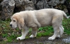 Filename=DSC_0003.jpg
Filesize=251KiB
Dimensions=1088x680
Date added=%492 %09, %2010 DSC_0003.jpg