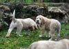 Filename=DSC_0004.jpg
Filesize=252KiB
Dimensions=993x709
Date added=%491 %09, %2010 DSC_0004.jpg
