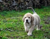 Filename=DSC_0009.jpg
Filesize=227KiB
Dimensions=953x737
Date added=%490 %09, %2010 DSC_0009.jpg