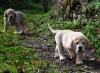 Filename=DSC_0013.jpg
Filesize=268KiB
Dimensions=1008x737
Date added=%489 %09, %2010 DSC_0013.jpg