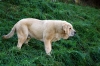 Filename=DSC_0027.jpg
Filesize=248KiB
Dimensions=950x636
Date added=%565 %26, %2007 DSC_0027.jpg