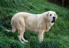 Filename=DSC_0029.jpg
Filesize=252KiB
Dimensions=924x662
Date added=%565 %26, %2007 DSC_0029.jpg