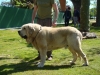 Filename=Zeus.jpg
Filesize=546KiB
Dimensions=1600x1200
Date added=%815 %12, %2009 Zeus.jpg
