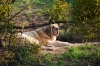 Filename=atenea001.jpg
Filesize=307KiB
Dimensions=1000x669
Date added=%902 %27, %2009 atenea001.jpg