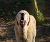 Filename=bimba0001.jpg
Filesize=112KiB
Dimensions=786x669
Date added=%777 %22, %2009 bimba0001.jpg