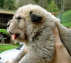 Filename=bimba21~0.jpg
Filesize=648KiB
Dimensions=800x715
Date added=%945 %02, %2007 bimba21~0.jpg